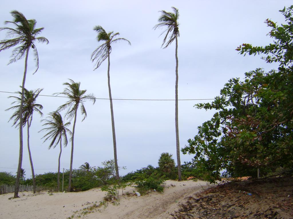 Pousada Paraiso Das Cannarias Exterior foto